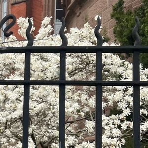 Meet your Posher, Ruby